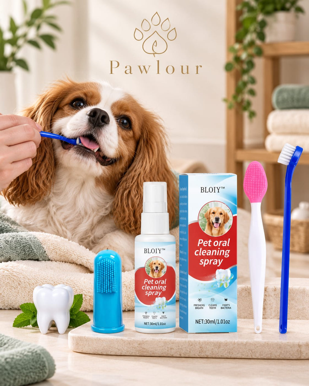 Pawlour Fresh Smile Dental Kit